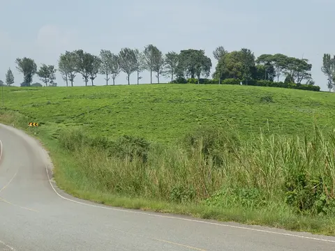 P1060640.JPG