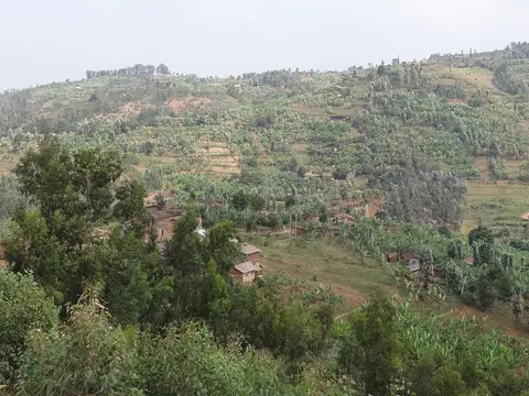 h2574e23.JPG