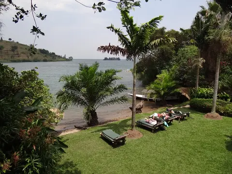 h2c139d9.JPG