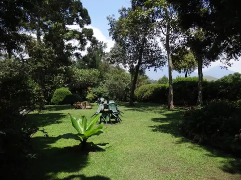 h347e9d5.JPG