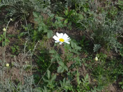 h7d497f8.JPG