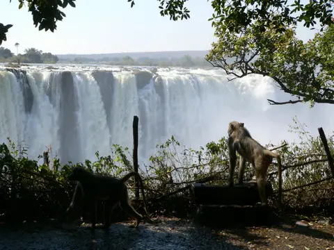 VicFalls033.jpg