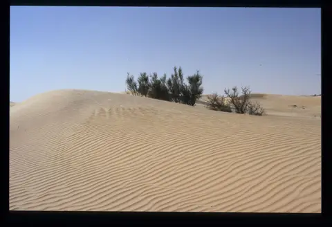 Algerien036.jpg
