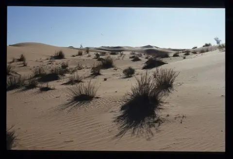 Algerien055.jpg