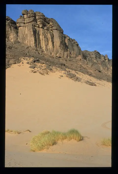 Algerien190.jpg