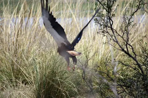Namibia_2012_08_31108.JPG