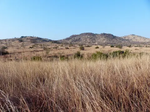 h5471184.jpg