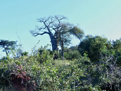 hf246f6d.jpg