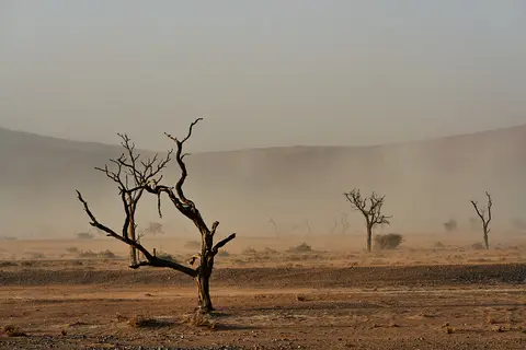 SA705835.jpg