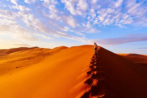 SA705854.jpg