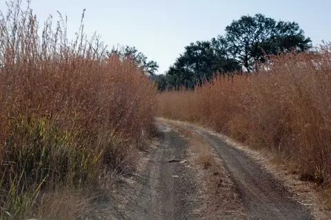 Botswana2011-1266.jpg