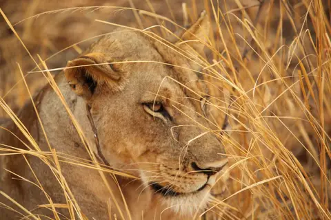 Afrika2011a247.JPG