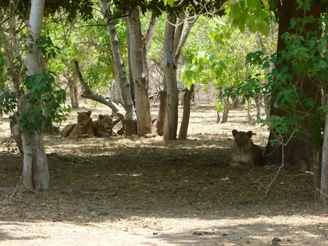 P1020454.JPG