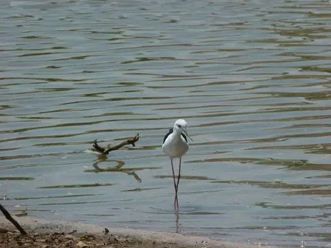 P1020469.JPG
