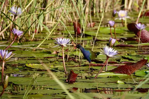 DSC01040.jpg