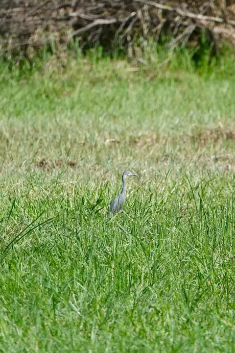 DSC01110.jpg