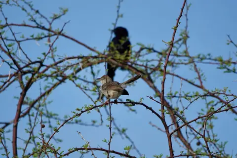 DSC01243.jpg