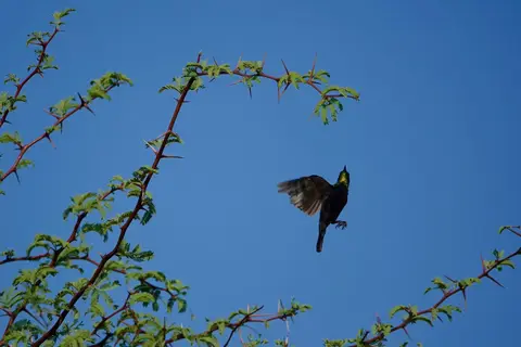 DSC01254.jpg