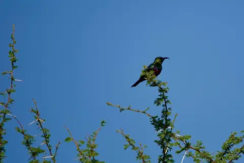 DSC01256.jpg