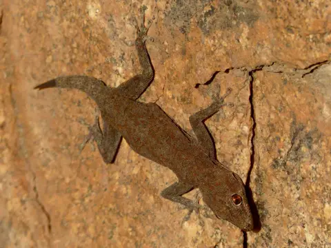 P1150012.jpg