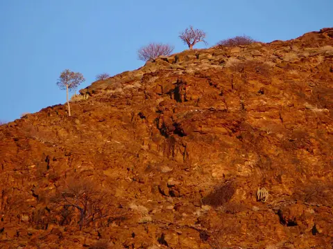 P1180251.jpg