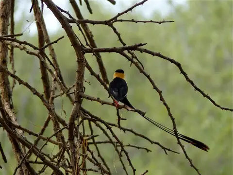 h1a6da19.jpg