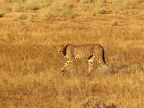 h37b8231.jpg