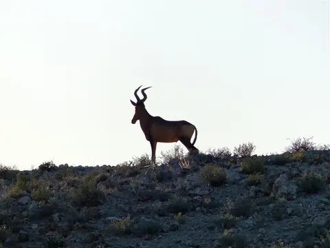 h794f6d3.jpg