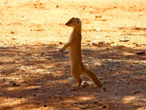 hd1605a3.jpg