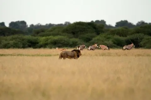 IMG_8554.JPG