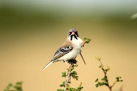 IMG_8663.JPG