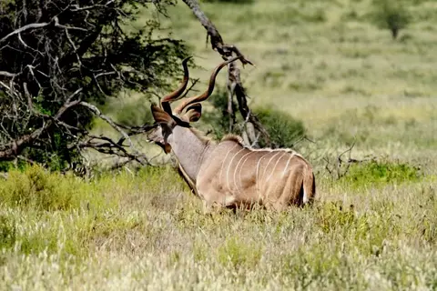 IMG_9535.JPG