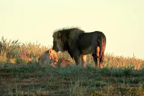 IMG_9979.JPG