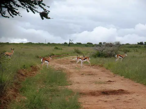 DSCN0837.JPG
