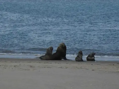 SDC11328.JPG