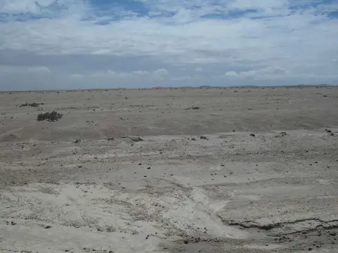 SDC11410.JPG