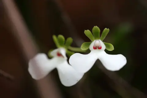 529A0305.jpg