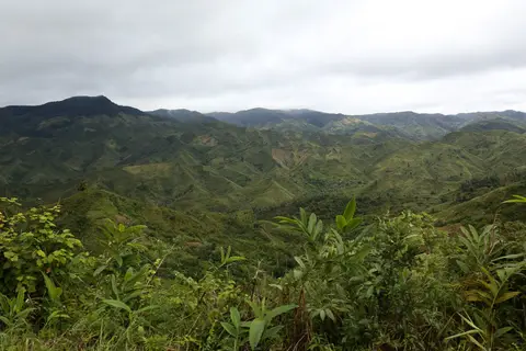 529A0710.jpg