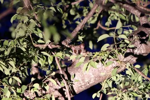 529A1331.jpg