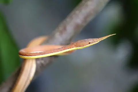 529A9918.jpg