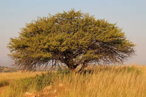 h5f9fc63_2013-10-04.JPG