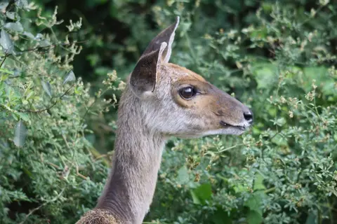 h69d59c7.JPG