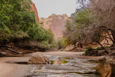 _1570562.jpg