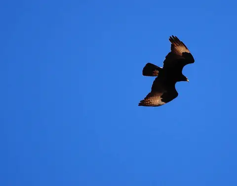 DSC_0018.jpg