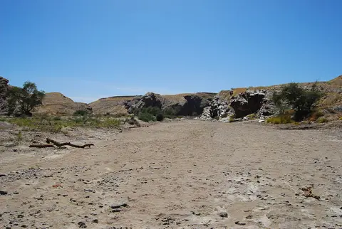 DSC_0123.jpg