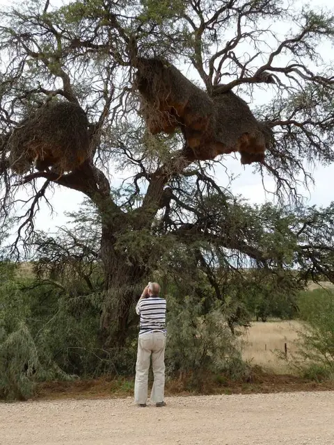 05Kalahari.jpg