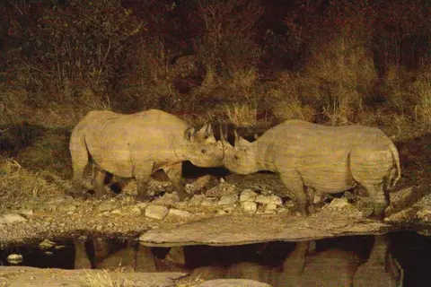 Namibiabestofjpg873.JPG
