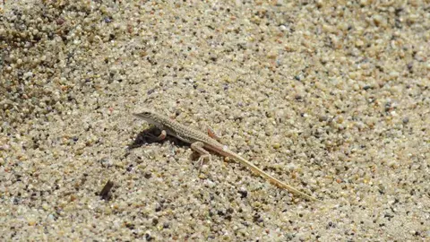 IMG_0958.JPG