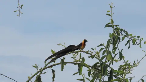 IMG_2144.JPG