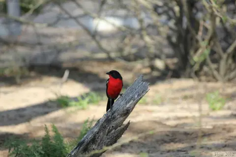 IMG_1645.JPG